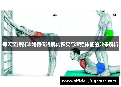 每天坚持游泳如何促进肌肉恢复与增强体能的效果解析