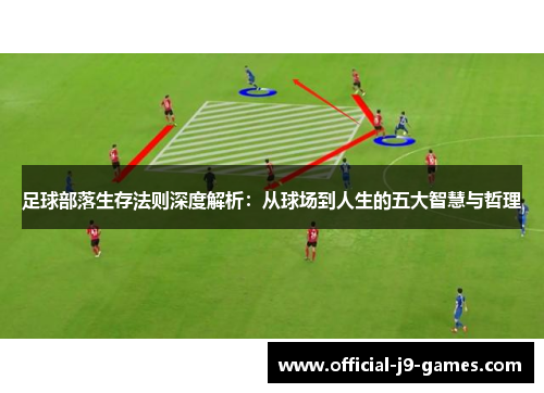 足球部落生存法则深度解析：从球场到人生的五大智慧与哲理