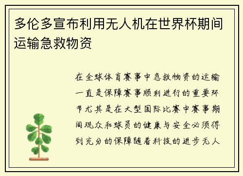 多伦多宣布利用无人机在世界杯期间运输急救物资 多伦多宣布利用无人机在世界杯期间运输急救物资